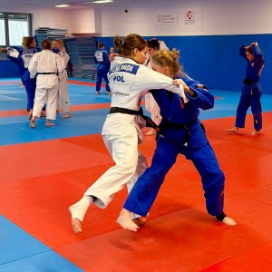 Polski Związek Judo