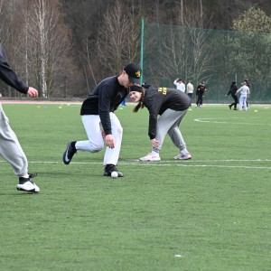 Baseball i softball