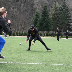 Baseball i softball