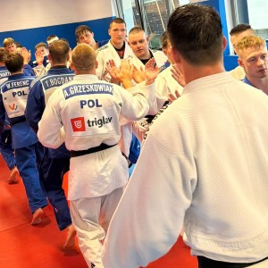 Polski Związek Judo