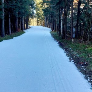 Trasy biegowe COS-OPO Zakopane