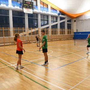 Badminton Polska