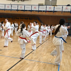 Taekwon-Do w COS Szczyrk
