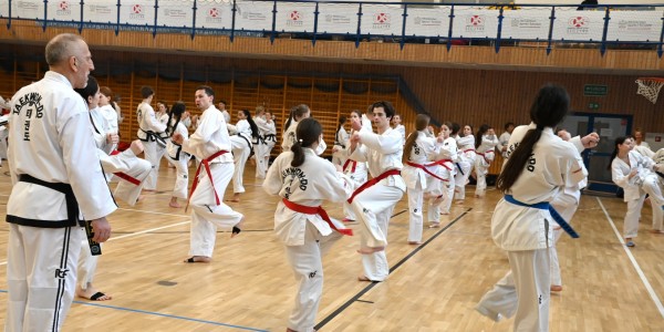 Taekwon-Do w COS Szczyrk