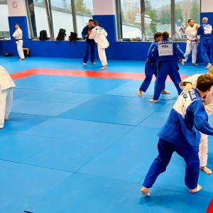 Polski Związek Judo