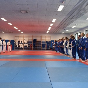 Kadra seniorek judo