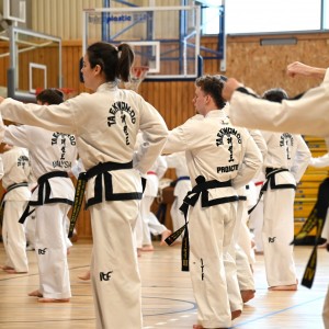 Taekwon-Do w COS Szczyrk