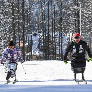 Treningi trasy biegowe