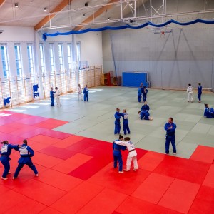 Polski Związek Judo