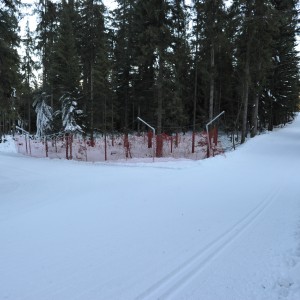 SMS Zakopane trening