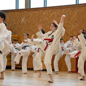Taekwon-Do w COS Szczyrk