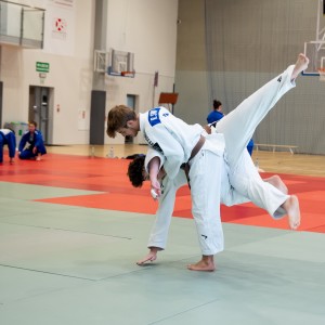 Polski Związek Judo