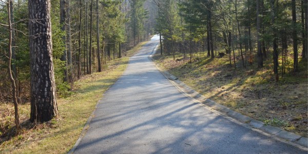 Trasy biegowe COS Zakopane