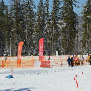 Zimowe Igrzyska Olimpiad Specjalnych