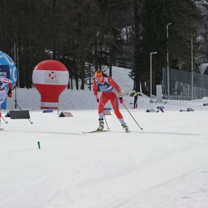 Mistrzostwa w biegach narciarskich