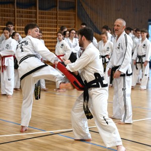 Taekwon-Do w COS Szczyrk