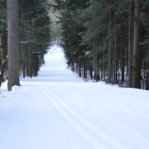 SMS Zakopane trening