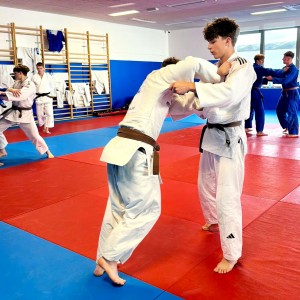 Polski Związek Judo