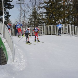 Mistrzostwa w biegach narciarskich