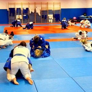 Polski Związek Judo