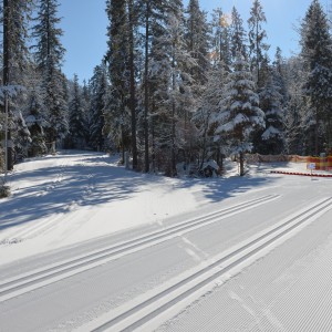 Zimowe Igrzyska Olimpiad Specjalnych