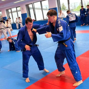 Polski Związek Judo