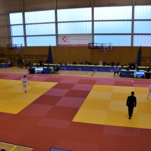 Puchar Europy judo