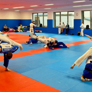 Polski Związek Judo