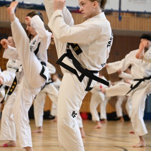 Taekwon-Do w COS Szczyrk