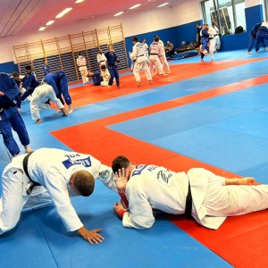 Polski Związek Judo