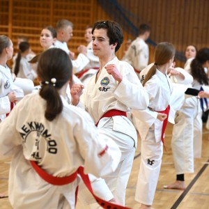 Taekwon-Do w COS Szczyrk