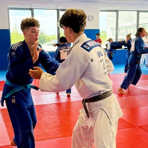 Polski Związek Judo