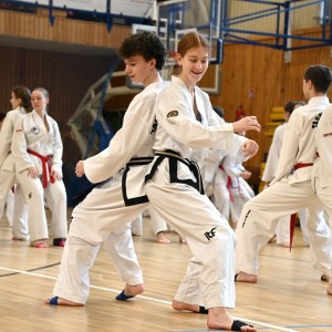 Taekwon-Do w COS Szczyrk