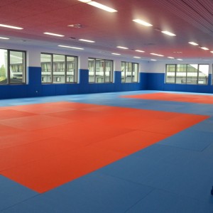 Sala Judo