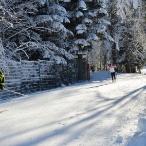 Wizyta COS Zakopane