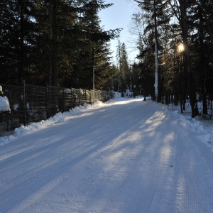 SMS Zakopane trening