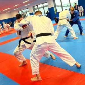 Polski Związek Judo