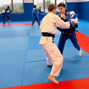 Polski Związek Judo