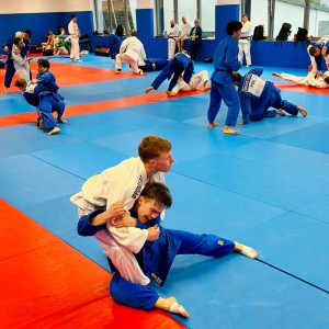 Polski Związek Judo