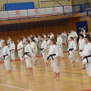 Karate COS Szczyrk