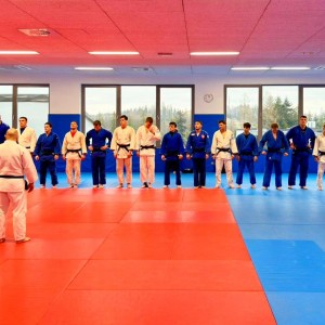 Polski Związek Judo