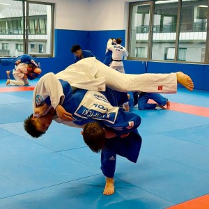 Polski Związek Judo