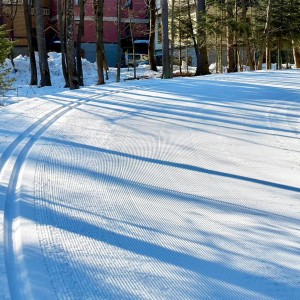 Trasy biegowe COS Zakopane