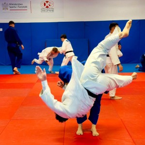 Polski Związek Judo