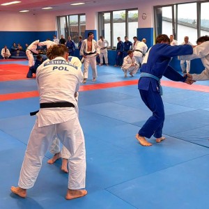 Polski Związek Judo