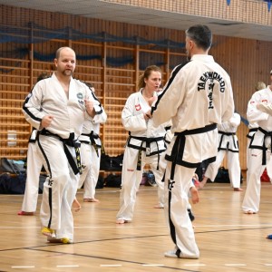 Taekwon-Do w COS Szczyrk