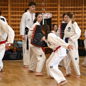 Taekwon-Do w COS Szczyrk