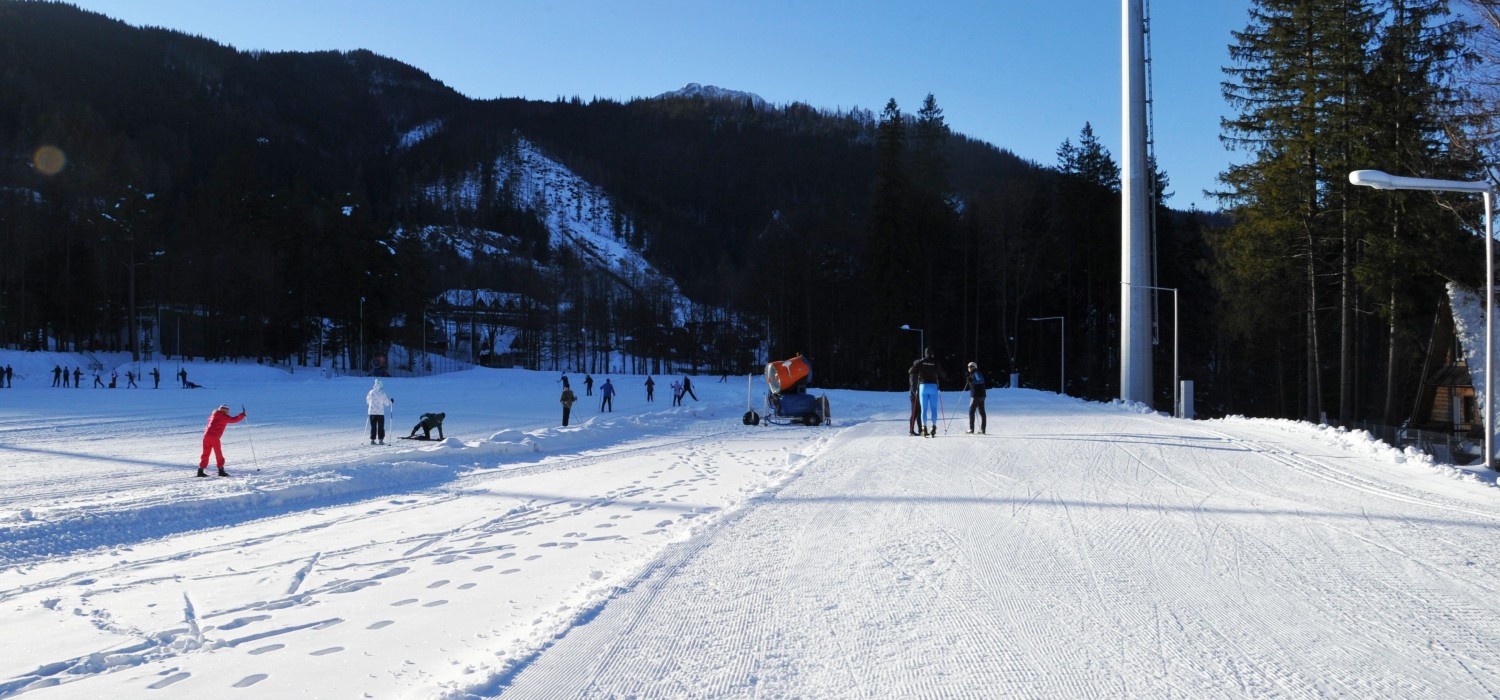 Trasy biegowe COS Zakopane