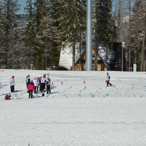 Zimowe Igrzyska Olimpiad Specjalnych