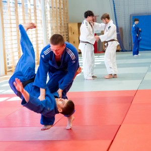 Polski Związek Judo